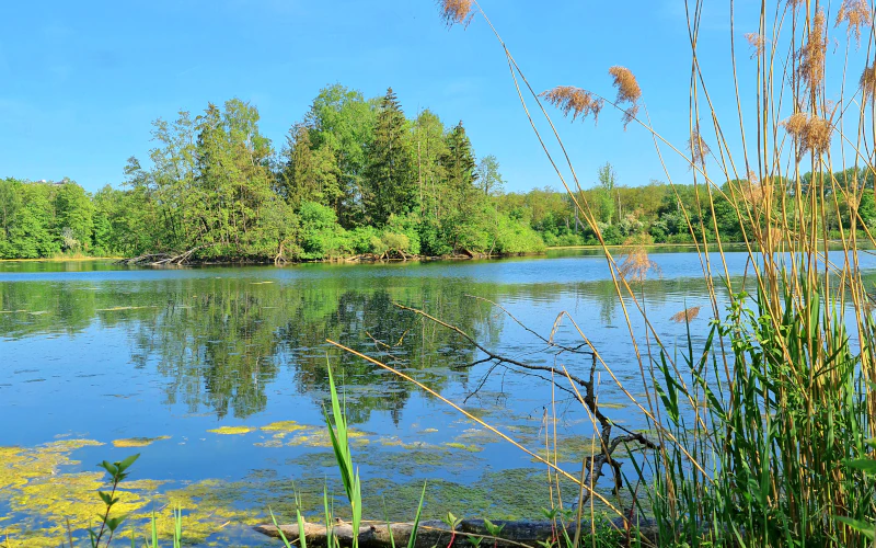 Vorschau Blick auf Insel 1