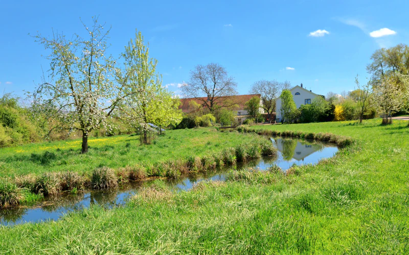 Vorschau Mailinger Bach