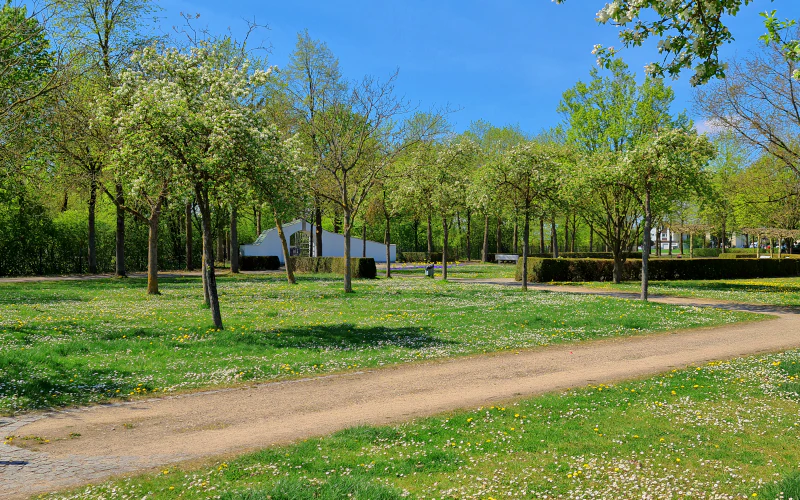 Vorschau Ostfriedhof 1