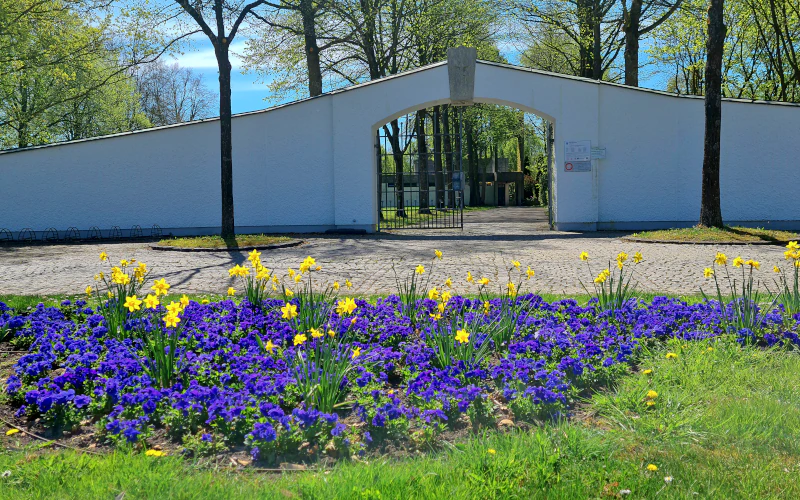 Vorschau Ostfriedhof 3