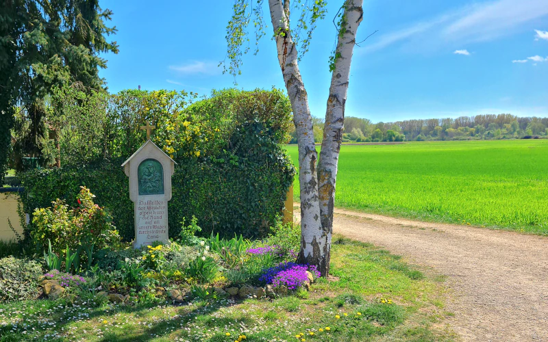 Vorschau Ostfriedhof 4