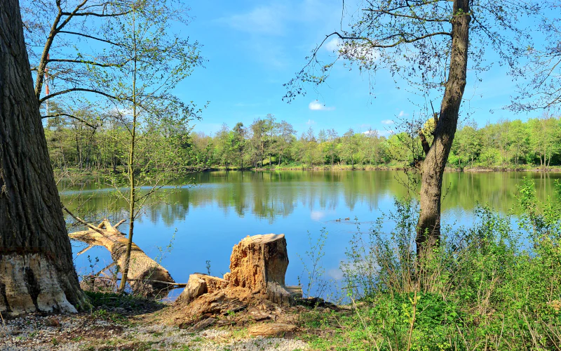 Vorschau Weiher Bayernwerkstraße