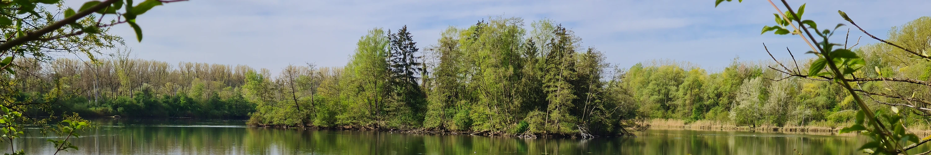 Eine Insel im örtlichen Bindlweiher.